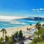 thumb_734_1400_0_0_0_crop