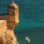 thumb_735_1400_0_0_0_crop