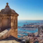 thumb_736_1400_0_0_0_crop